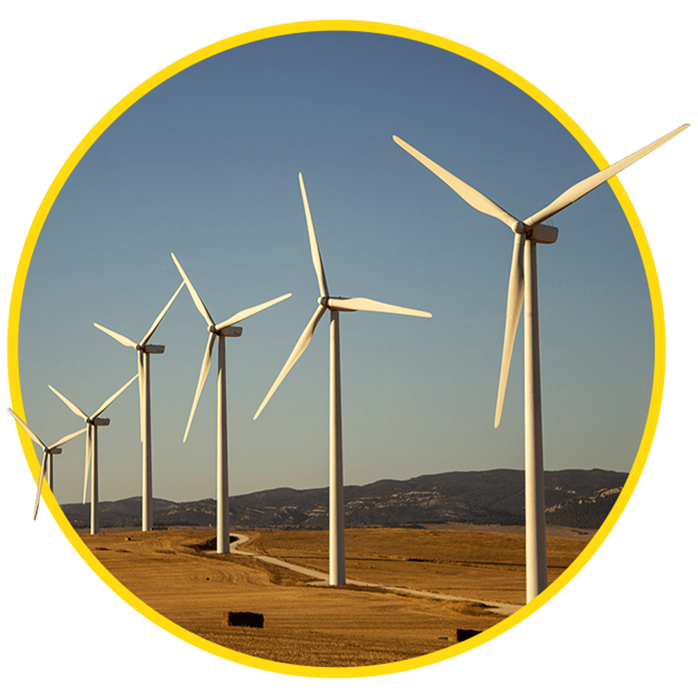 https://www.sehc.org.au/wp-content/uploads/2022/03/image_01_home_04-4.png